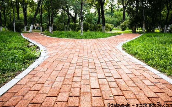 Steinplatten reinigen: Ein Pflasterweg muss regelmässig gereinigt werden